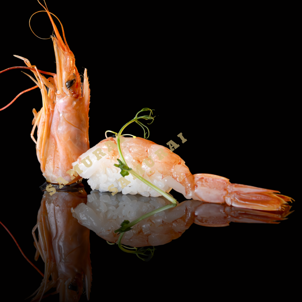 NIGIRI CAMARAO